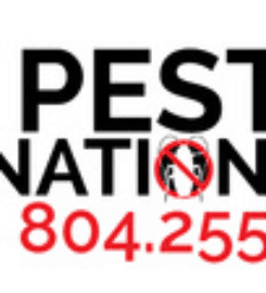 RVA Pest Elimination