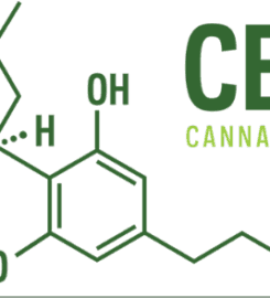 Gen 1:29 CBD Oil