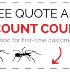 RVA Pest Elimination