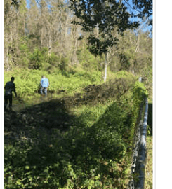 Central Florida Tree & Land