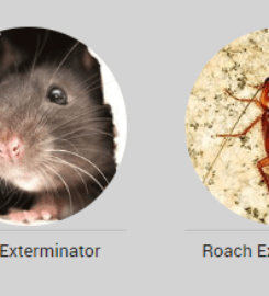 Bigfoot Pest Control