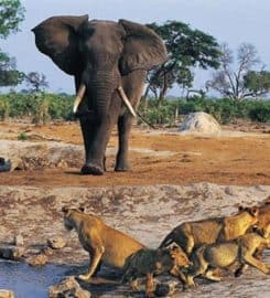 Eastern Vacations Tours