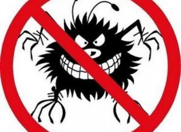 OCP Bed Bug Exterminator San Jose CA – Bed Bug Removal