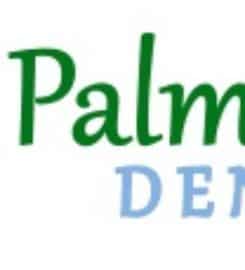 Palm View Dental