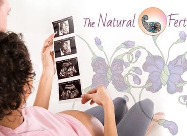 The Natural Fertility Doctor