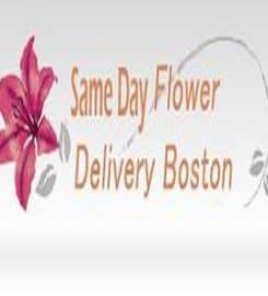 Same Day Flower Delivery Boston MA – Send Flowers