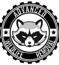 Advanced Wildlife Removal