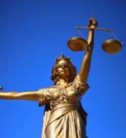 The Boyle Law Firm