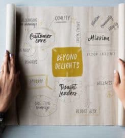 Beyond Delights