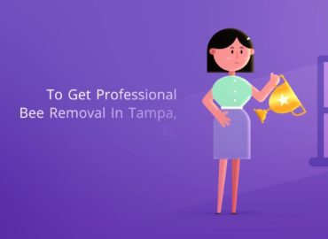 OCP Bee Removal Tampa FL – Bee Exterminator