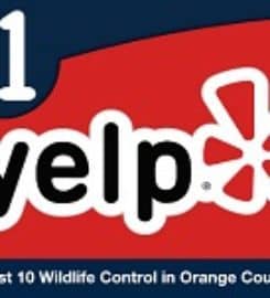 Advanced Wildlife Removal