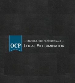 OCP Bee Removal Tucson AZ – Bee Exterminator