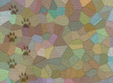 Carpet Cleaning Panorama City