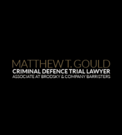 Matthew Gould, Criminal Lawyer