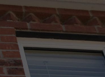 Capital Basement Waterproofing Forest Hill