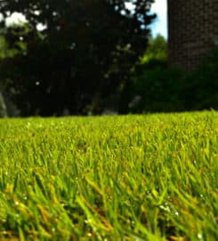 GreenPal Lawn Care