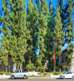 Brookwood Apartments