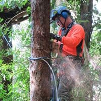 Aussie Tree Care