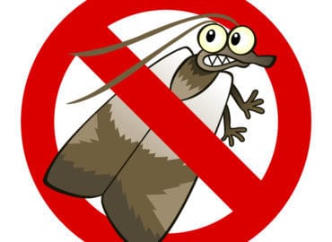 OCP Bed Bug Exterminator Austin TX – Bed Bug Removal