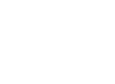 Platinum Tax Defenders
