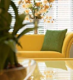 Basic Elegance Furnishings Limited