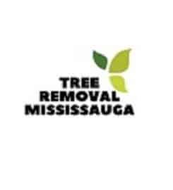 Tree Removal Mississauga