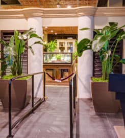 Diego Pellicer – Recreational and Medical Cannabis Dispensa &hellip;