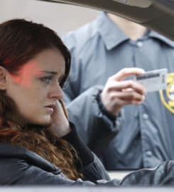 Goldberg Bail Bonds