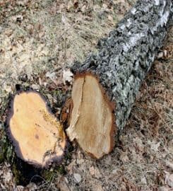 Johns Creek Tree Co.