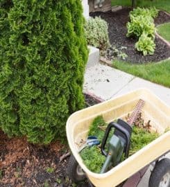 Johns Creek Tree Co.