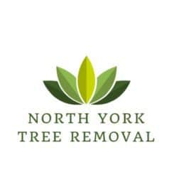 Tree Removal North York