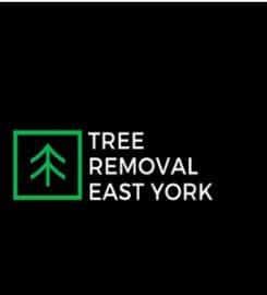 Tree Removal East York