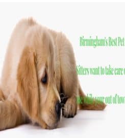 Birmingham Dog Walks