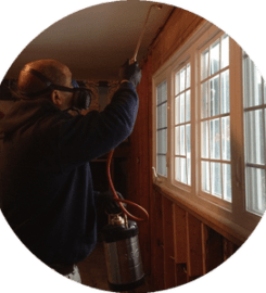All Star Pest Solutions