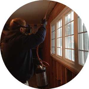 All Star Pest Solutions