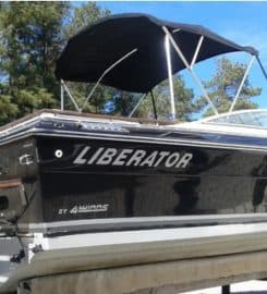 Lanier Mobile Detailing