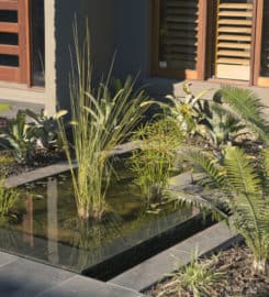 Aesthetic Pools and Landscapes