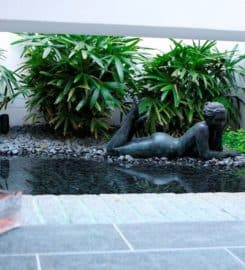 Aesthetic Pools and Landscapes