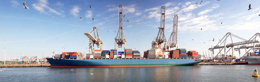 Optima International Solutions