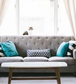 Honor Plus Carpet Cleaning
