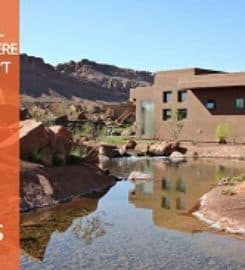 Phoenix Internet