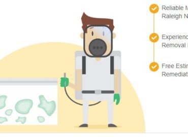 All US Mold Removal Raleigh NC | Mold Remediation Services