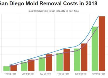 All US Mold Removal San Diego CA | Mold Remediation Services