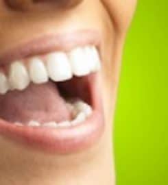 Everest Dental