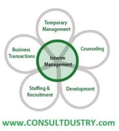 Consultdustry