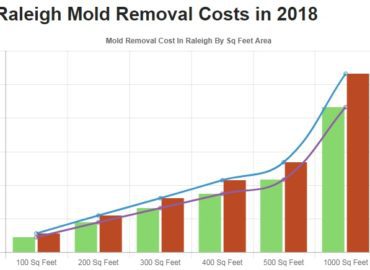All US Mold Removal Raleigh NC | Mold Remediation Services