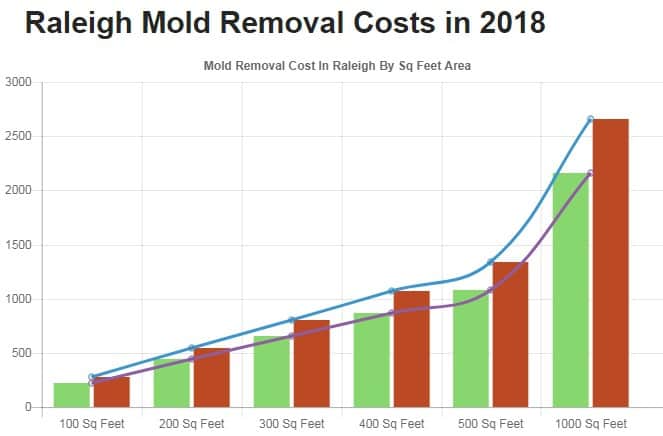 All US Mold Removal Raleigh NC | Mold Remediation Services