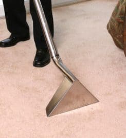 The Hills Carpet Cleaning