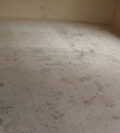 The Hills Carpet Cleaning