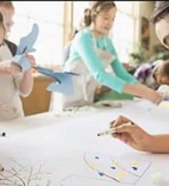 ClearMinds, Center for Emotional Health DMCC